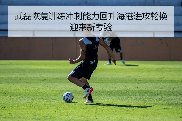 武磊恢复训练冲刺能力回升海港进攻轮换迎来新考验
